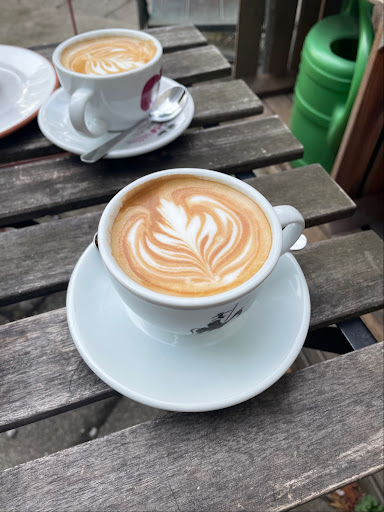 wild caffè - Visual