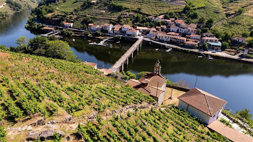 Bodega Mauricio Lorca Belesar