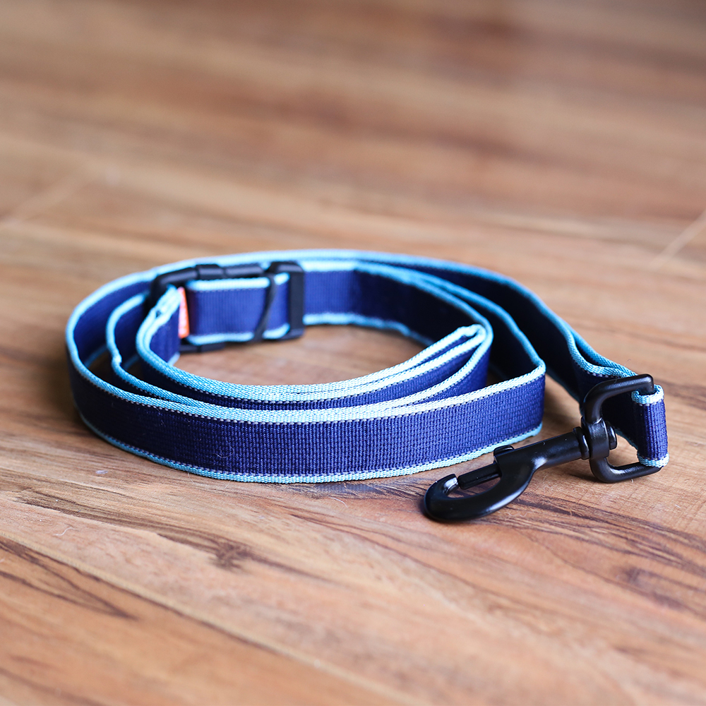 Blue Leash Dog Walking
