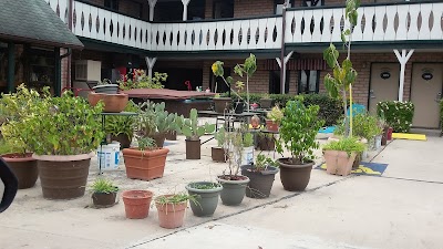 Photos of Edelweiss Inn