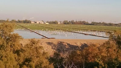 Photos of US Fish & Wildlife Department Services