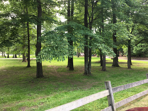 Knoll Park Picnic Area - Thumbnail