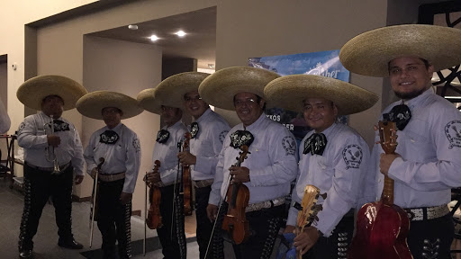 Mariachi los Gavilanes