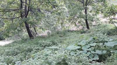 Photos of Gimcheon Hansol Pensions