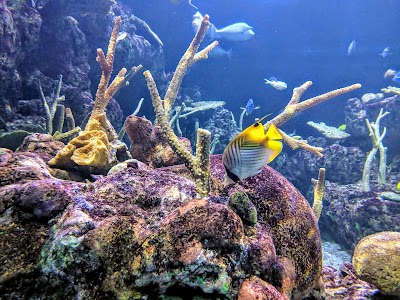 Seattle Aquarium