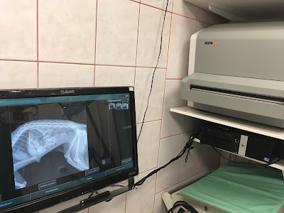 Photos of Kruglosutochnaya Veterinarnaya Klinika
