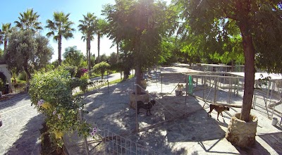 Photos of Animal Oasis Residence