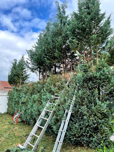 BORMANN - Gebäudereinigung, Gartenpflege, Abrissarbeiten, Winterdienst, Entrümpelung, Bauhelfer Bielefeld, Herford, Gütersloh photo