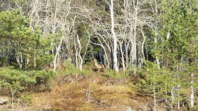 Photos of Skogrand Camping