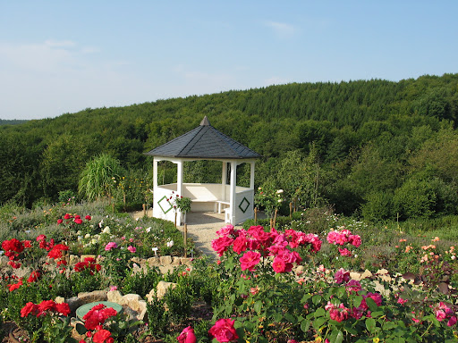 Gemeinde Eppelborn - Visual