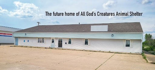 All God's Creatures