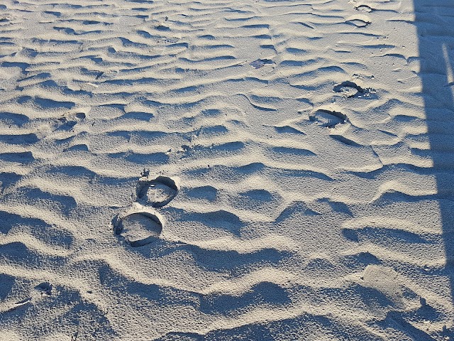 Plage de Beauduc