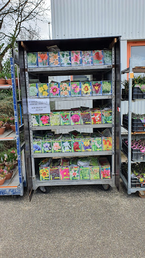 Holland Bolroy Markt BV Gallery - Netherlands