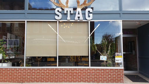 Stag - Visual