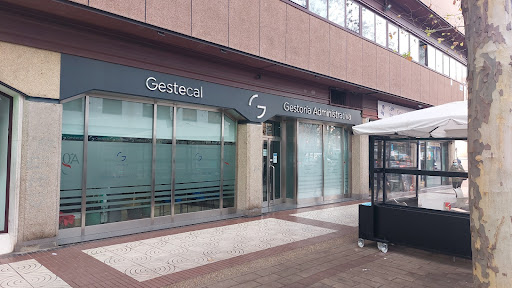 Gestecal - Visual