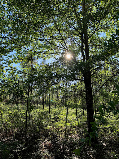 Otto Hill Recreation area - Thumbnail