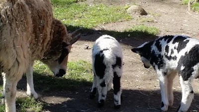 Photos of Beacon Hill Children's Farm