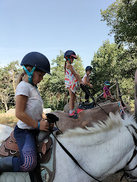Photo n°25 de Les Poneys de la Petite Famille à Villeneuve (Centre équestre)