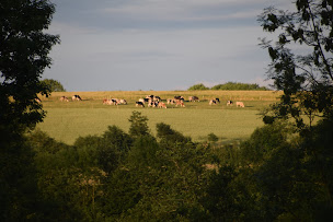 Photo n°33 de La Françoisière à La Roche-Neuville (Chambre d'hôtes)