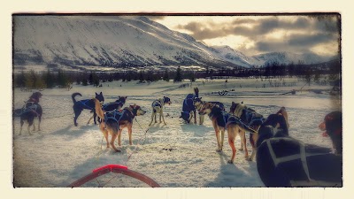 Photos of Troms&oslash; Golf Club