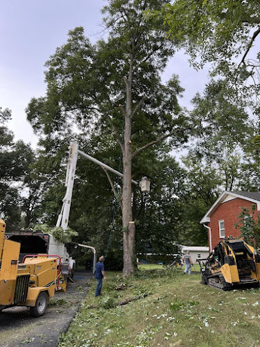 Vail Tree Service Hendersonville