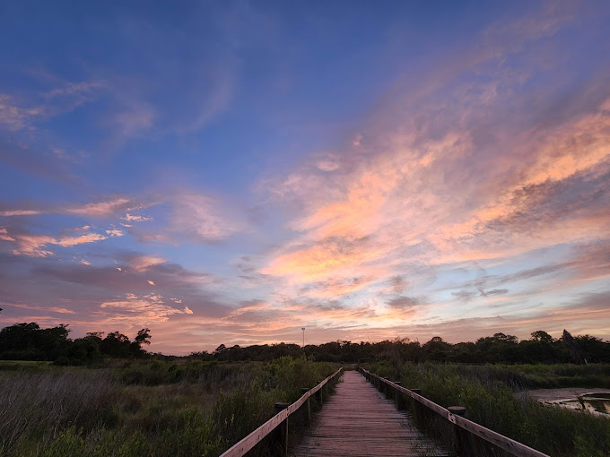 Pine Gully Park Pasadena TX