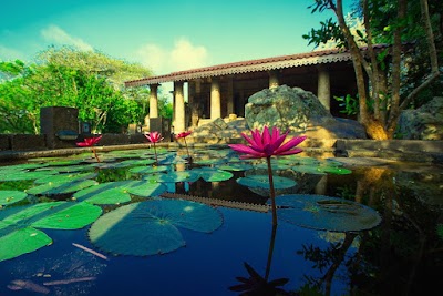 Photos of Anuradhapura Hotels