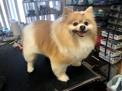 GroomingDales Pet Salon & Day Spa