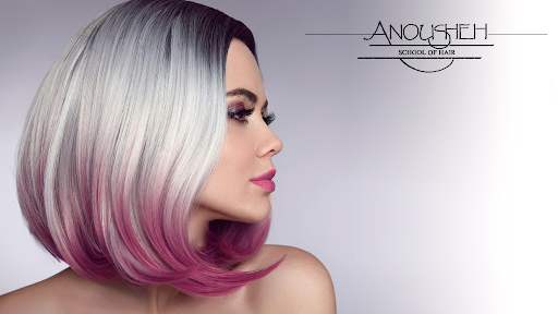 Anousheh School of Hair