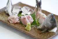 カーロ・フォレスタ 館山ディアナ