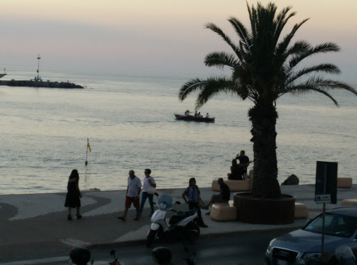 Barage - Visual