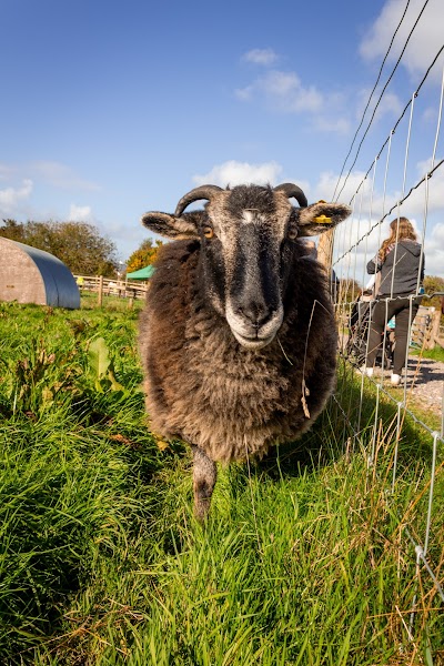 Hartcliffe City Farm