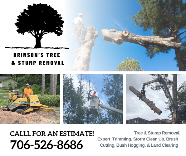 Brinson's Tree & Stump Removal LLC