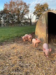 Photo n°3 de La Touche Guillet - Ferme DUBOURG - Mayenne (53) à Cossé-le-Vivien (Ferme)