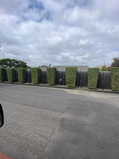 DynaMow Tree Removal Services Geelong - Thumbnail