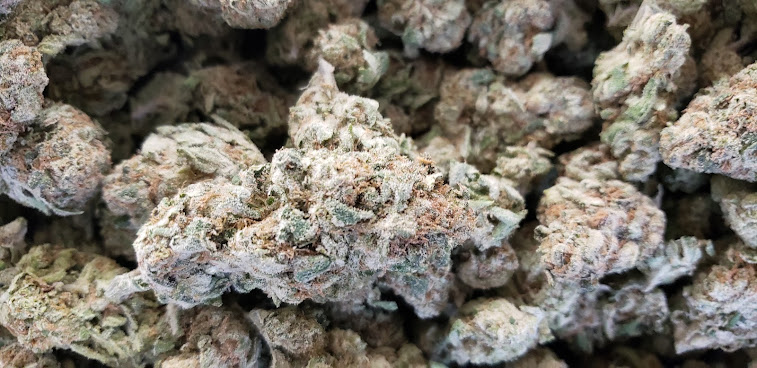 MOTA - Medicine Of The Angels by null