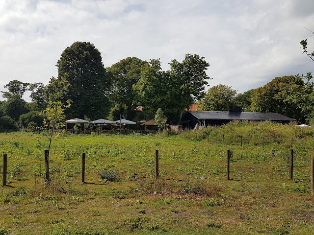 Meijendel
