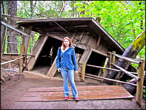 The Oregon Vortex - Visual