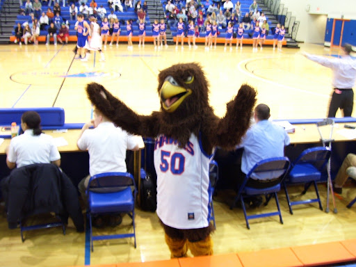 New Paltz High School - Thumbnail