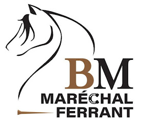 Photo n°19 de Benoit Malbert à Fresnoy-le-Luat (Maréchal-ferrant)