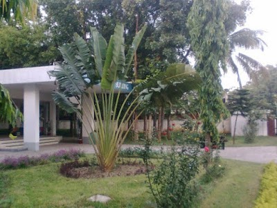 Photos of NITER