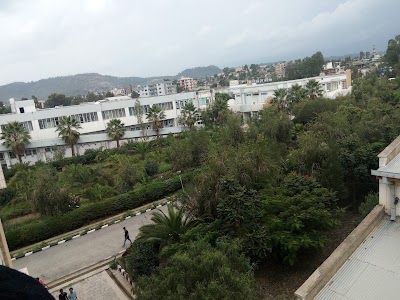 university