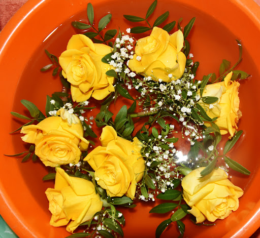 Die Ringelblume - Visual