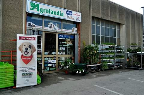 Agrolandia