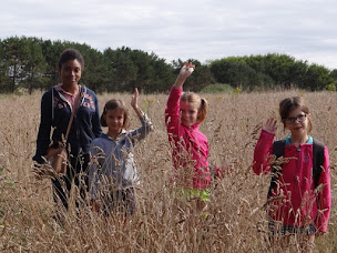 Photo n°13 de Centre de vacances Berry-Tudy à Île-Tudy (Hostel)