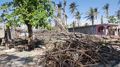 Photos of Arise Haiti