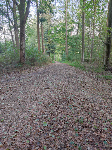 Wegekreuz Eselsbergweg & Zinsweg
