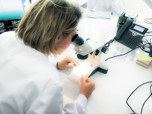 Photo n°11 de AC ENVIRONNEMENT à Aiffres (Agence immobilière)