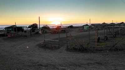 Photos of ESTADIO ILOCA