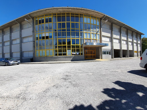 I.E.S. Ferro Couselo